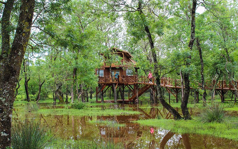 Kuş Gözlemciliği Rehberi: Hangi Mevsimde Nereye Gidilir?